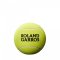 Мячи теннисные Wilson ROLAND GARROS 5 MINI JUMBO SS20 зеленый Green
