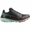 Кросівки Salomon THUNDERCROSS чол. чорний 10