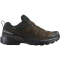 Кроссовки Salomon X ULTRA 360 LTR GTX муж. коричневый 10