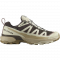 Кроссовки Salomon X ULTRA 360 EDGE GTX муж. бежевый 10,5