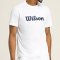 Футболка Wilson чол. TEAM GRAPHIC TEE WHITE білий LG