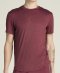 Футболка Wilson муж. EVERYDAY PERFORMANCE TEE CRANBERRY бордовый LG