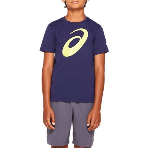 Футболка ASICS U BIG SPIRAL SS TOP дет. SS20 синий XS