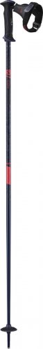 Палиці для гірських лиж Salomon ICON ERGO S3 21-22 фіолетовий 110