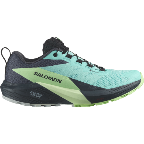 Кросівки Salomon SENSE RIDE 5 GTX жін. блакитний 4.5