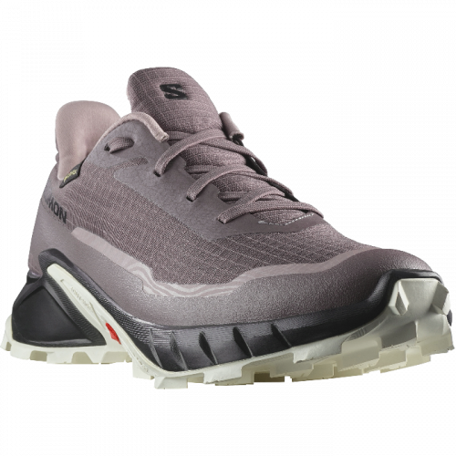 Кроссовки Salomon ALPHACROSS 5 GTX W жен. фиолетовый 7