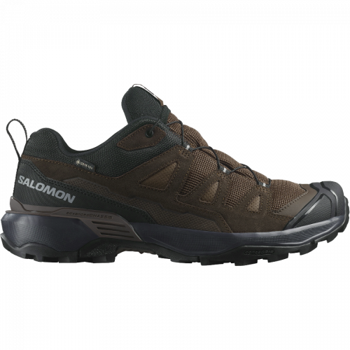Кроссовки Salomon X ULTRA 360 LTR GTX муж. коричневый 10