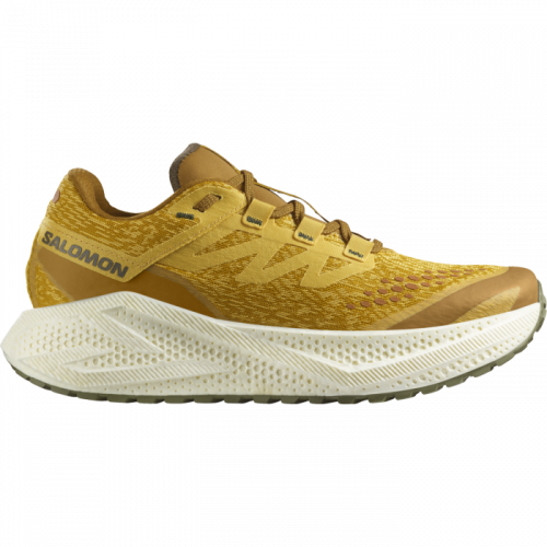 Кросівки Salomon AERO GLIDE 3 GRVL чол. жовтий 9,5