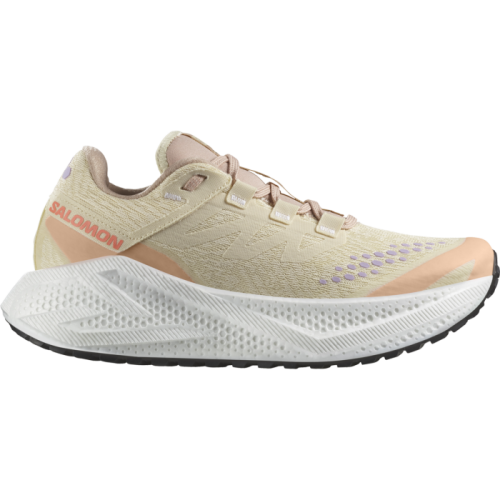 Кроссовки Salomon AERO GLIDE 3 GRVL W жен. бежевый 4