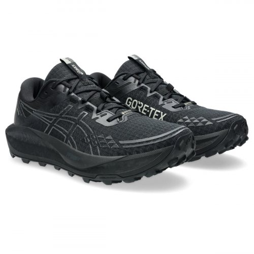 Кросівки ASICS GEL-Trabuco 13 GTX чол. чорний 10