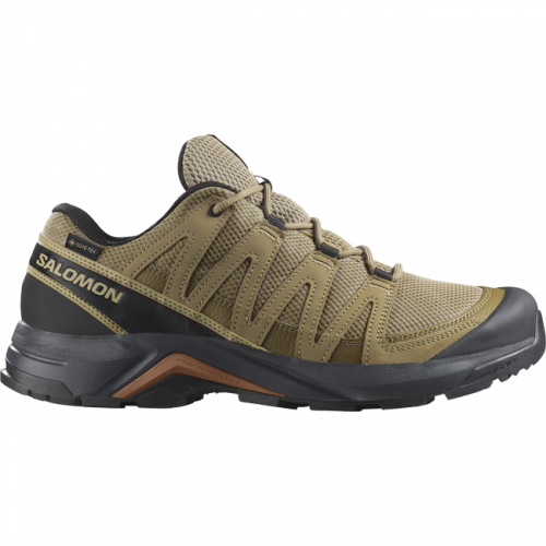 Кроссовки Salomon X-ADVENTURE RECON GTX муж. коричневый 8