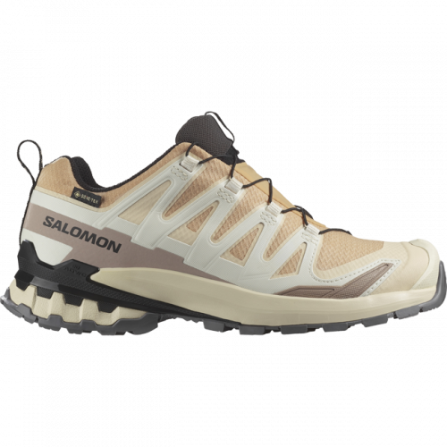 Кроссовки Salomon XA PRO 3D V9 GTX W жен. бежевый 4,5