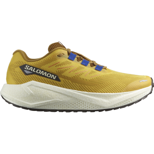 Кросівки Salomon AERO BLAZE 3 GRVL чол. жовтий 10,5