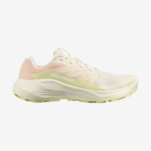 Кросівки Salomon ALPHAGLIDE W жін. бежевий 5
