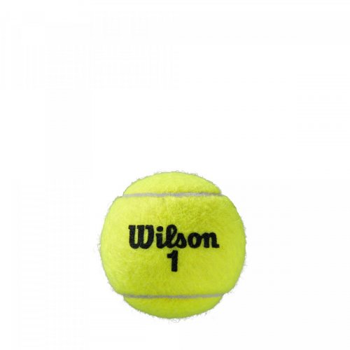 Мячи теннисные Wilson ROLAND GARROS CLAY 3 BALL SS20