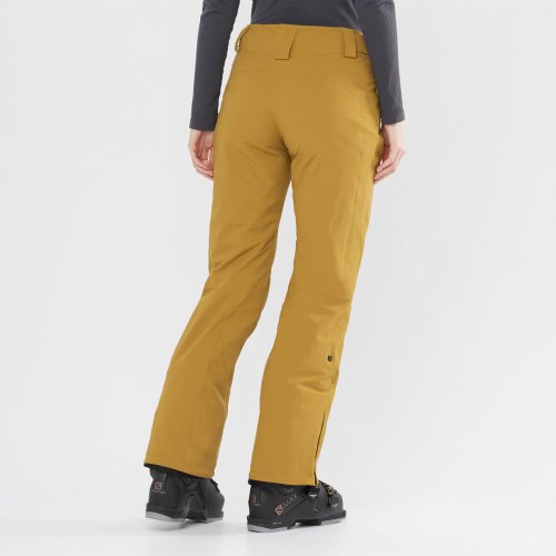 Штани г/л SALOMON THE BRILLIANT PANT W жін. бежевий S/R