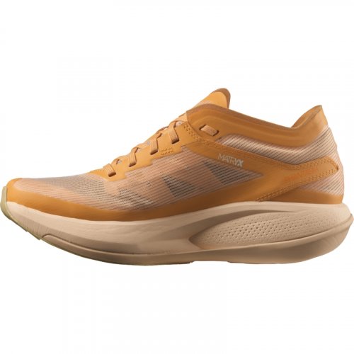 Кроссовки SALOMON PHANTASM жен. бежевый 7