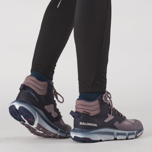 Ботинки SALOMON PREDICT HIKE MID GTX W жен. бежевый 5