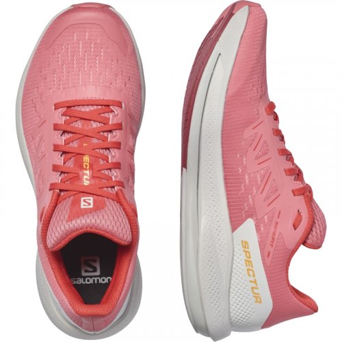 Кросівки SALOMON SPECTUR жін. кораловий 5.5