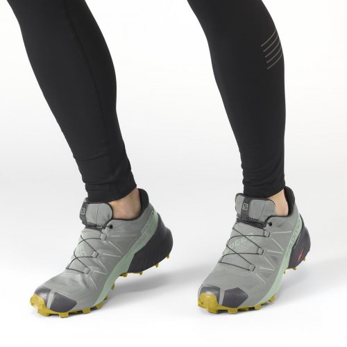 Кросівки SALOMON SPEEDCROSS 5 GTX W жін. сірий 3.5
