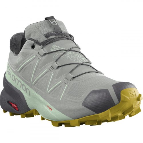 Кросівки SALOMON SPEEDCROSS 5 GTX W жін. сірий 3.5