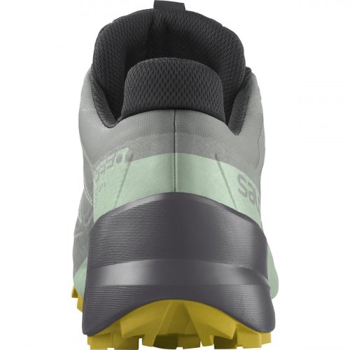 Кросівки SALOMON SPEEDCROSS 5 GTX W жін. сірий 3.5