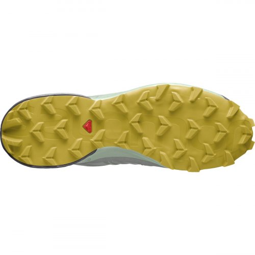 Кросівки SALOMON SPEEDCROSS 5 GTX W жін. сірий 3.5