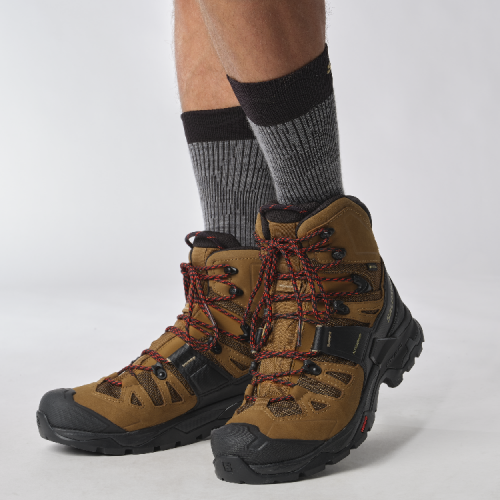 Черевики Salomon QUEST 4 GTX чол. коричневий 10