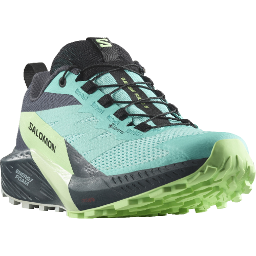 Кросівки Salomon SENSE RIDE 5 GTX жін. блакитний 4.5