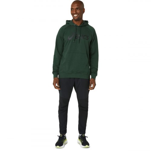 Толстовка ASICS BIG ASICS OTH HOODIE муж. синий S