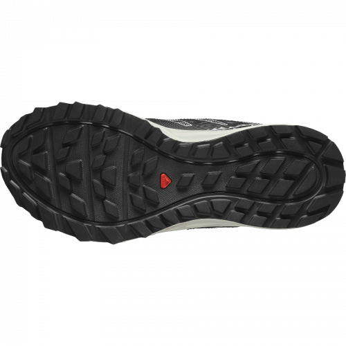 Кросівки Salomon WANDER W жін. Фіолетовий 4,5