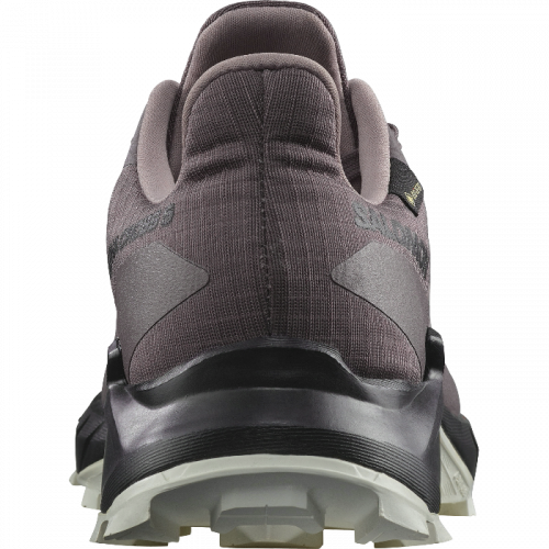 Кроссовки Salomon ALPHACROSS 5 GTX W жен. фиолетовый 7