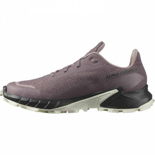 Кроссовки Salomon ALPHACROSS 5 GTX W жен. фиолетовый 7