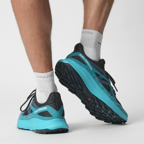 Кросівки Salomon ULTRA FLOW чол. синій 11.5