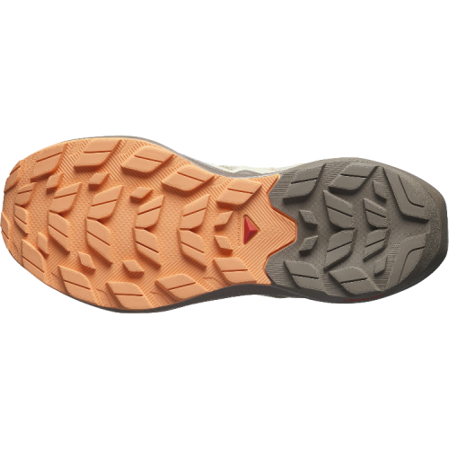 Кроссовки Salomon ELIXIR ACTIV W жен. бежевый 4