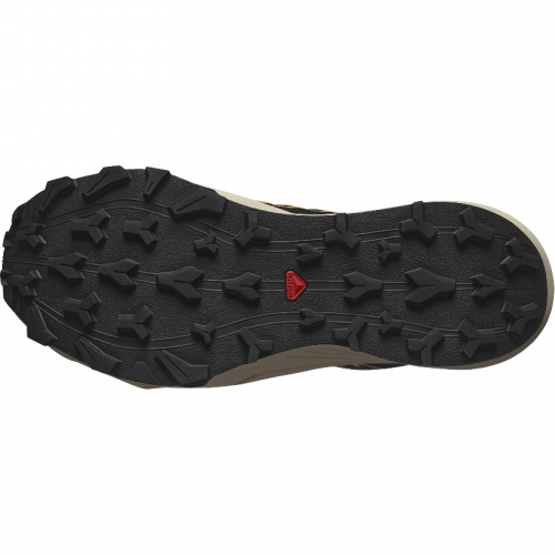 Кроссовки Salomon THUNDERCROSS GTX W жен. серый 7,5