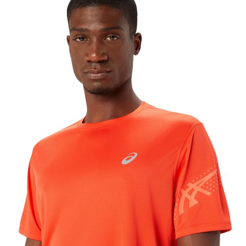 Футболка ASICS ICON SS TOP чол. червоний S