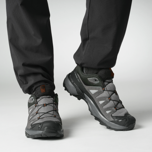 Кросівки Salomon X ULTRA 360 LTR чол. сірий 11