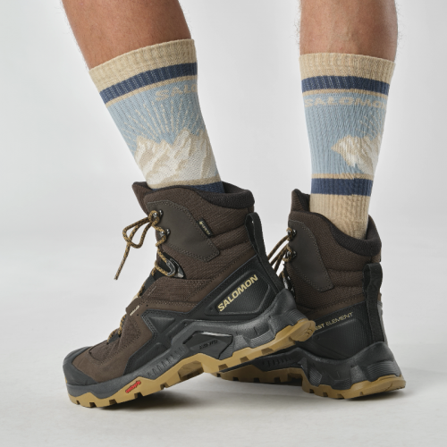 Черевики Salomon QUEST ELEMENT GTX чол. коричневий 8,5