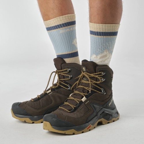 Черевики Salomon QUEST ELEMENT GTX чол. коричневий 9,5