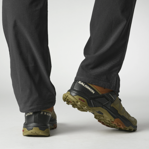 Кроссовки Salomon X ULTRA 4 GTX муж. коричневый 11