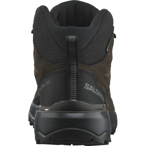 Черевики Salomon X ULTRA 360 LTR MID GTX чол. коричневий 11,5