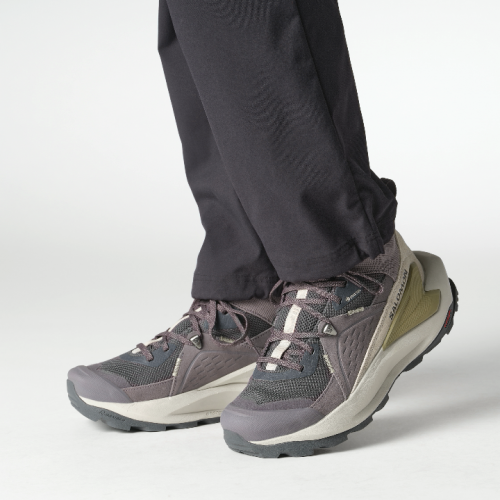 Ботинки Salomon ELIXIR MID GTX W жен. фиолетовый 7,5