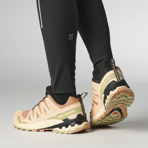 Кросівки Salomon XA PRO 3D V9 W жін. бежевий 4,5