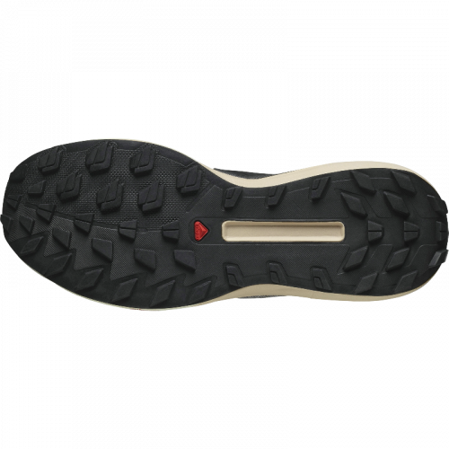 Кросівки Salomon S/LAB GENESIS уні. бежевий 10