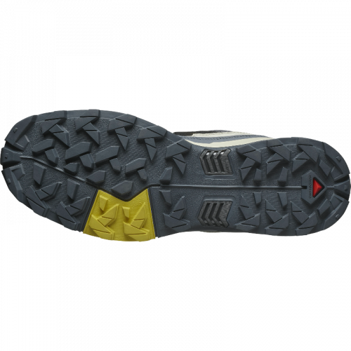 Кросівки Salomon X ULTRA 5 чол. сірий 10