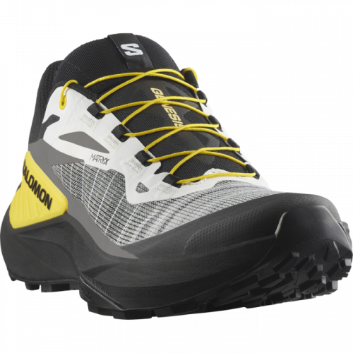 Кроссовки Salomon GENESIS муж. черный 11,5