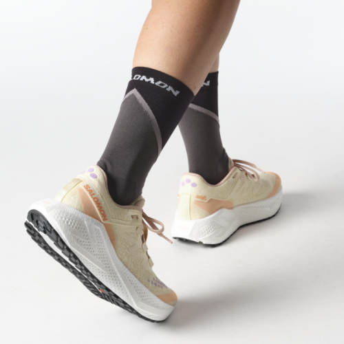 Кроссовки Salomon AERO GLIDE 3 GRVL W жен. бежевый 4
