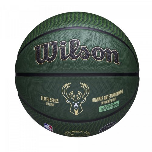 Мяч баскетбольный Wilson NBA PLAYER ICON OUTDOOR BSKT GIANNIS SZ7 зелёный 7