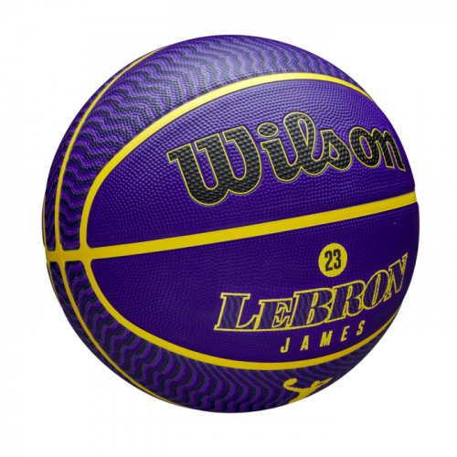 Мяч баскетбольный Wilson NBA PLAYER ICON OUTDOOR BSKT LEBRON NE SZ7 фиолетовый/жёлтый 7